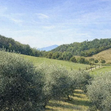 Podere La Paolina - Residenza Di Charme *