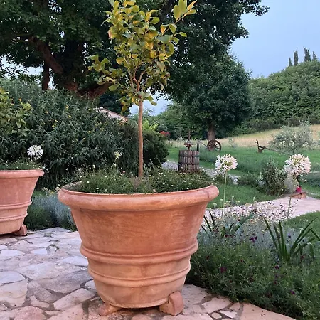Podere La Paolina - Residenza Di Charme Gospodarstwo agroturystyczne