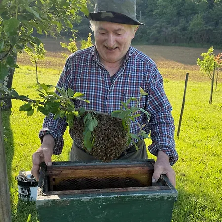 Podere La Paolina - Residenza Di Charme Gospodarstwo agroturystyczne Montefollonico