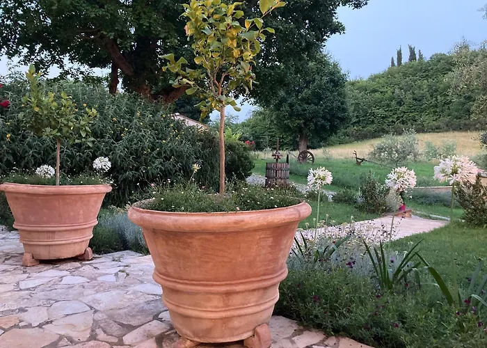 Podere La Paolina - Residenza Di Charme Gospodarstwo agroturystyczne