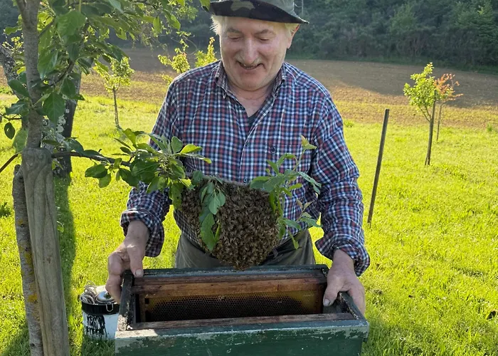 Podere La Paolina - Residenza Di Charme Gospodarstwo agroturystyczne Montefollonico